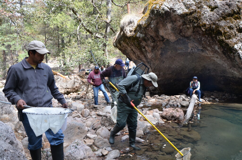 2013 truchas feb19 (32)