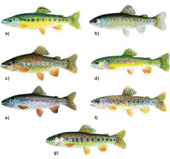 captura de pantalla 2025 10 20 152350